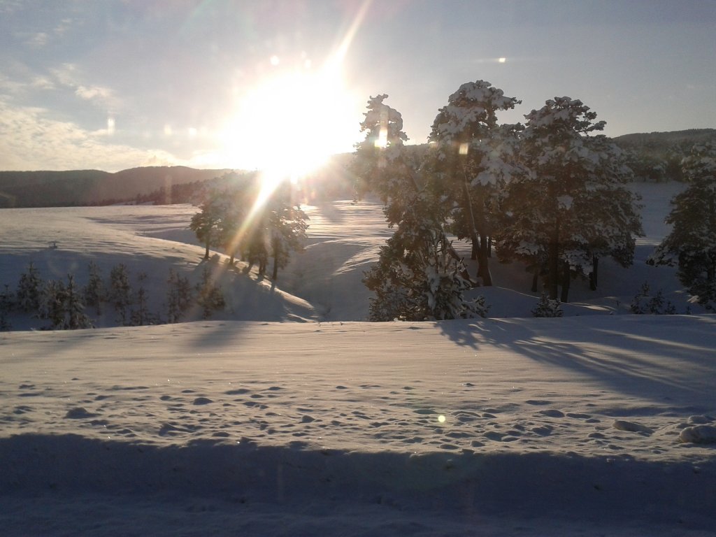 2012-12-15 14.51.00.jpg
