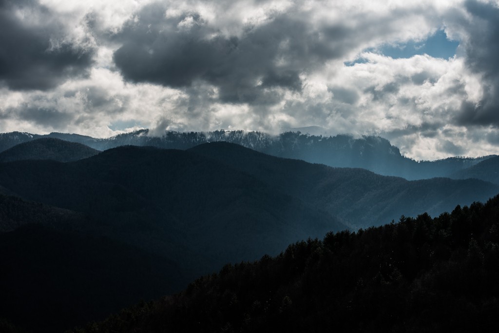 _DSC8402.jpg