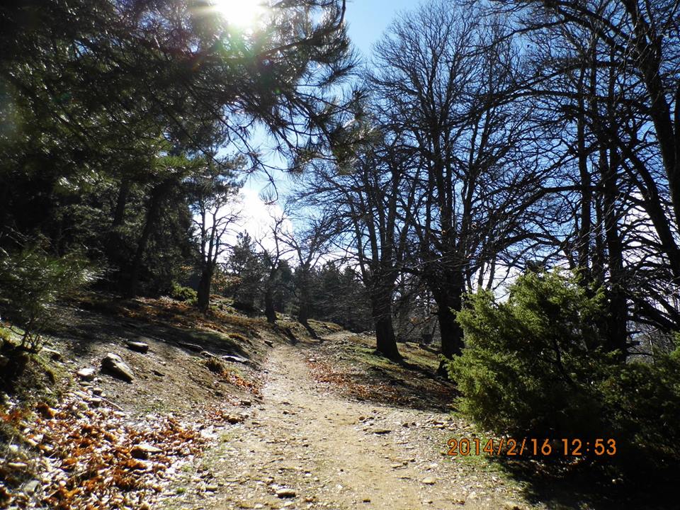 BozdaÃƒÂƒÃ‚Â„ÃƒÂ‚Ã‚ÂŸ KÃƒÂƒÃ‚Â„ÃƒÂ‚Ã‚Â±ÃƒÂƒÃ‚Â…ÃƒÂ‚Ã‚ÂŸ KampÃƒÂƒÃ‚Â„ÃƒÂ‚Ã‚Â± 0145.jpg
