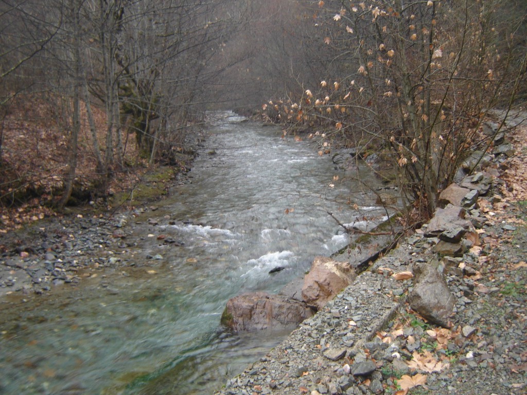 DSC09777.JPG