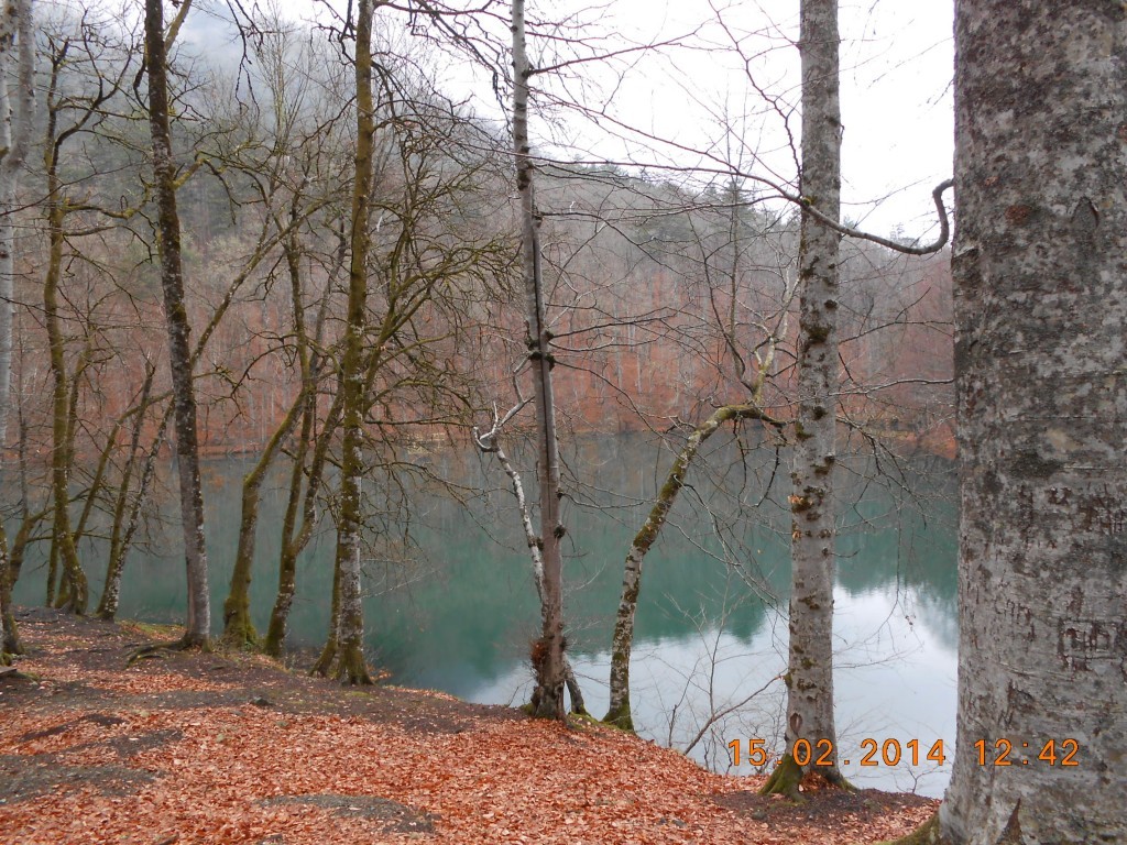 DSCN0103.JPG