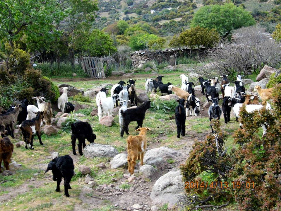 Hatundere  - DumanlÃƒÂƒÃ‚Â„ÃƒÂ‚Ã‚Â±daÃƒÂƒÃ‚Â„ÃƒÂ‚Ã‚ÂŸ (13 Nisan 2013) 050.jpg