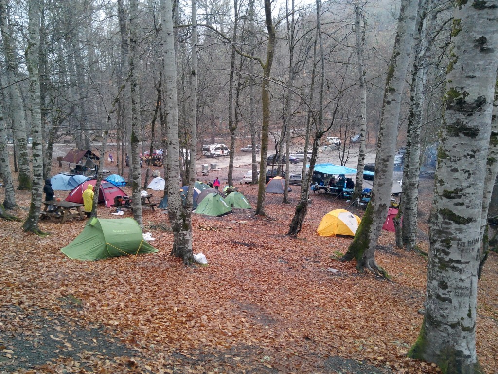 IMG_20140215_162332.jpg