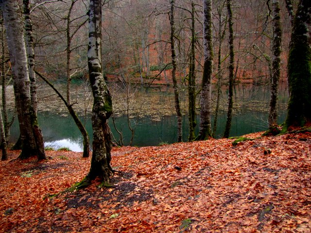 IMG_2490.JPG