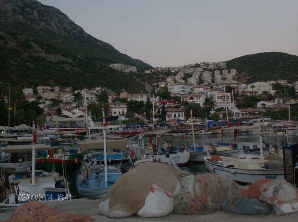 02-09-2014-KaÃƒÂƒÃ‚Â…ÃƒÂ‚Ã‚ÂŸ 018.JPG