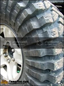 034_pit4-06_r225.jpg
