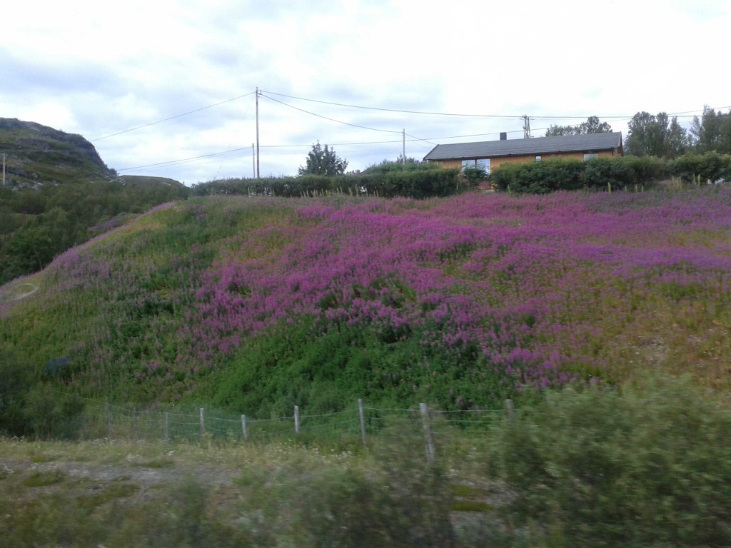 034snr.jpg 034snr.jpg