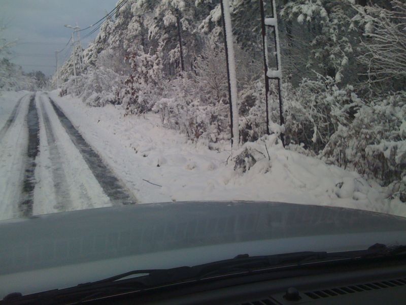 04.02.2010 002.jpg