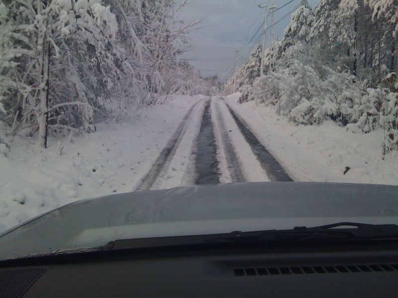 04.02.2010 004.jpg