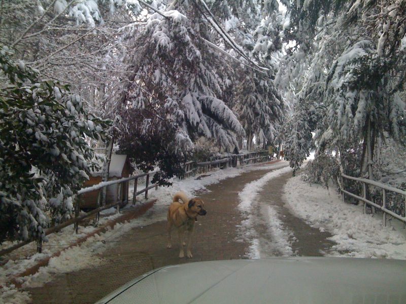 04.02.2010 006.jpg