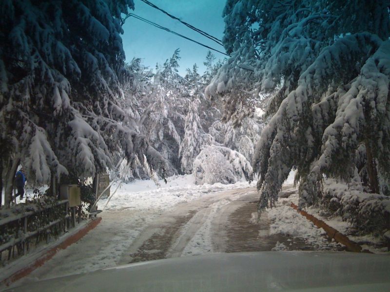 04.02.2010 008.jpg