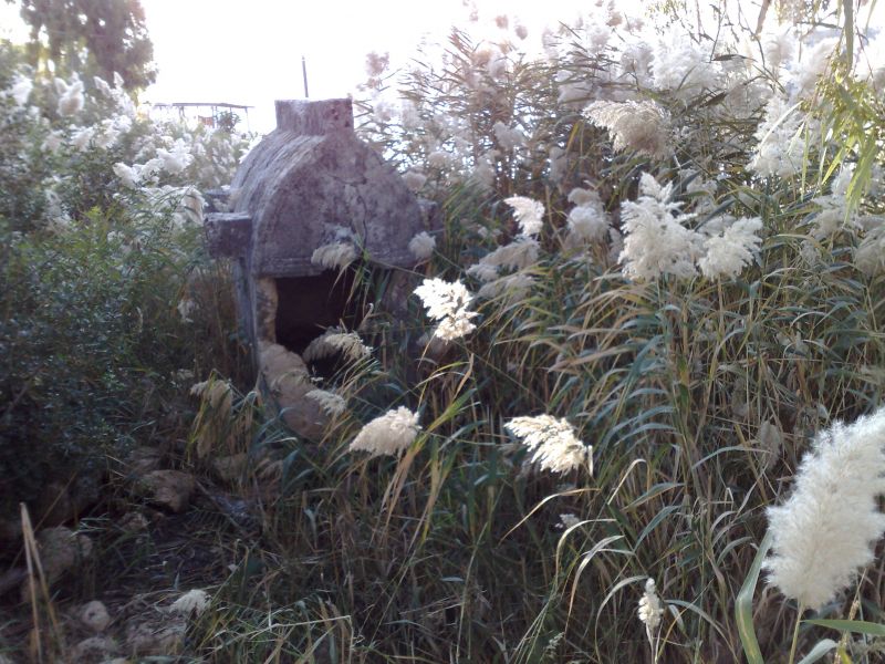 070120103469.jpg