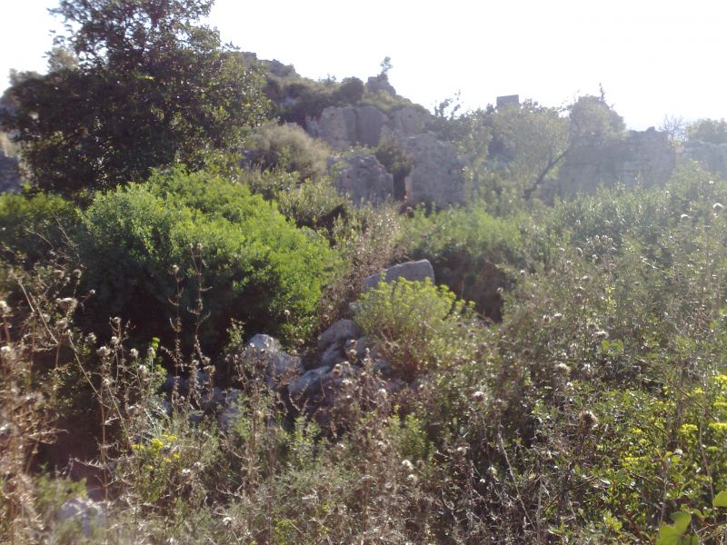 070120103476.jpg