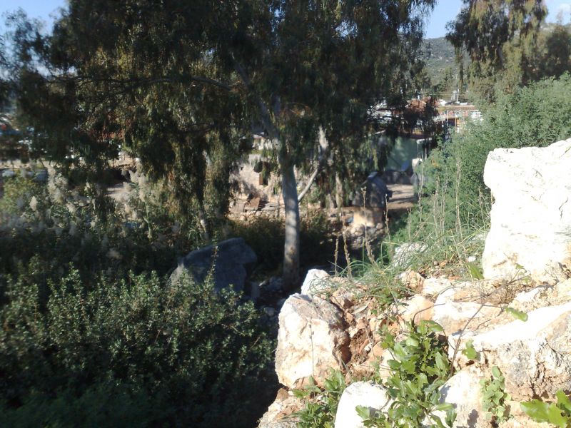 070120103477.jpg