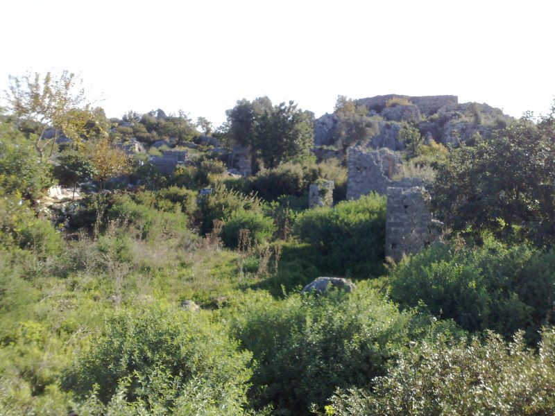 070120103482.jpg