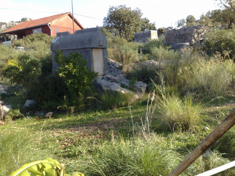 070120103488.jpg
