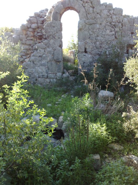 070120103489.jpg