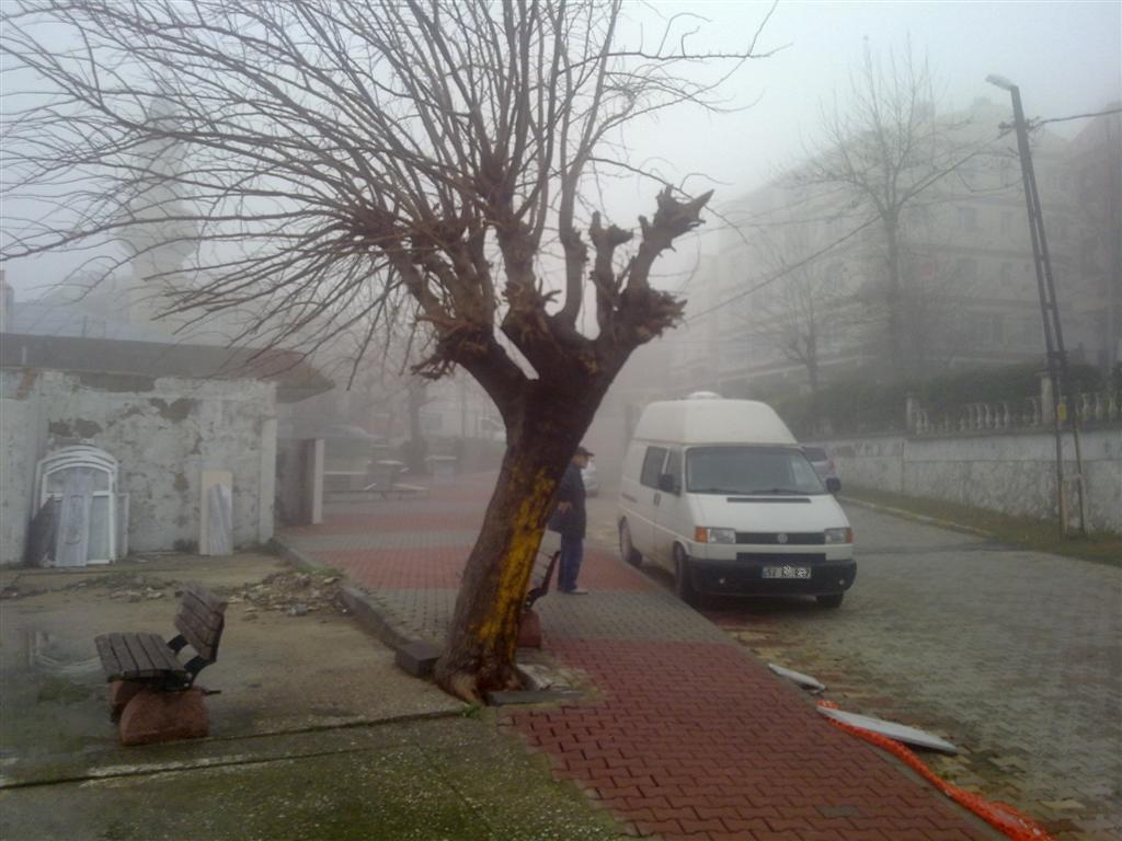 071220143927 (Large).jpg