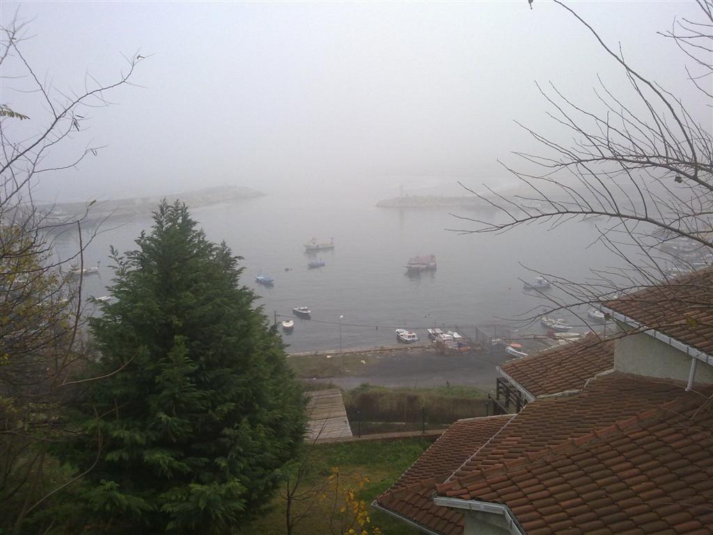 071220143929 (Large).jpg