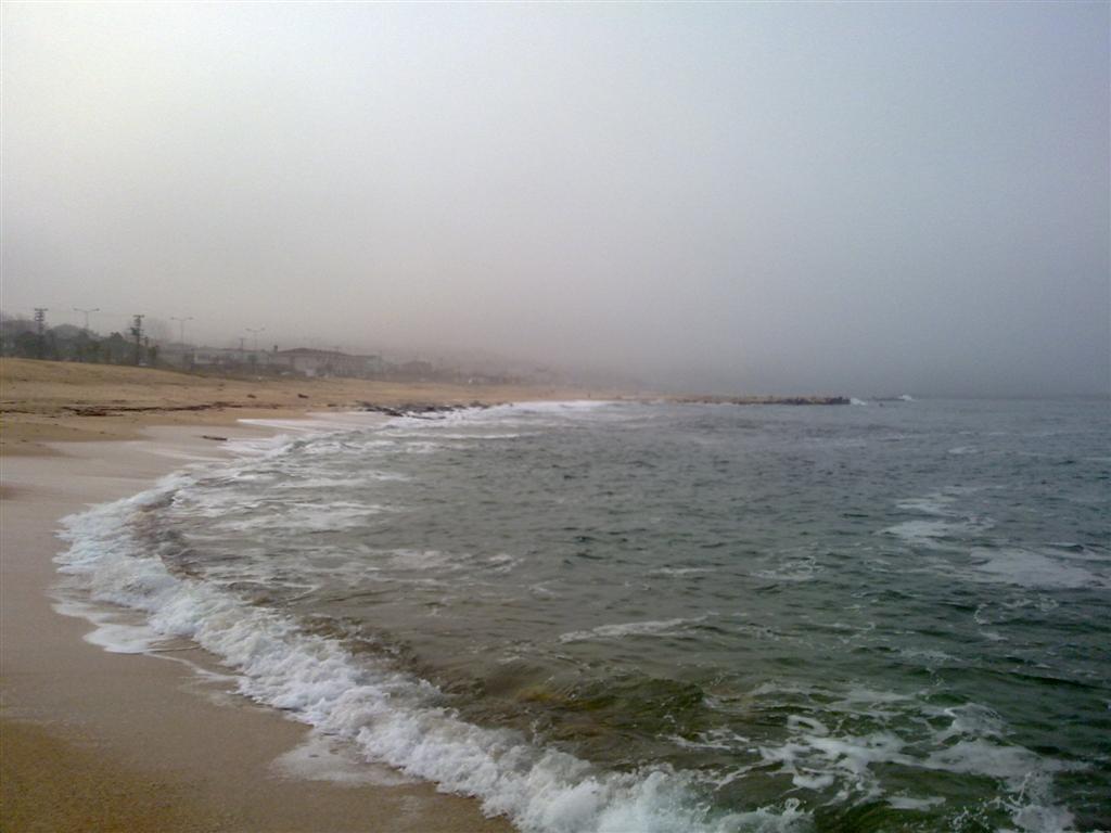 071220143944 (Large).jpg