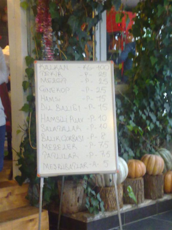 071220143951 (Large).jpg