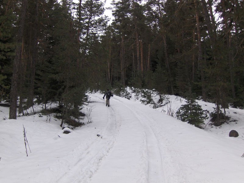 08-02-2011-GÃƒÂƒÃ‚ÂƒÃƒÂ‚Ã‚Â¶lkÃƒÂƒÃ‚ÂƒÃƒÂ‚Ã‚Â¶y-Bolu 039.jpg