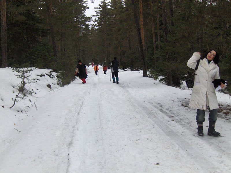 08-02-2011-GÃƒÂƒÃ‚ÂƒÃƒÂ‚Ã‚Â¶lkÃƒÂƒÃ‚ÂƒÃƒÂ‚Ã‚Â¶y-Bolu 043.jpg