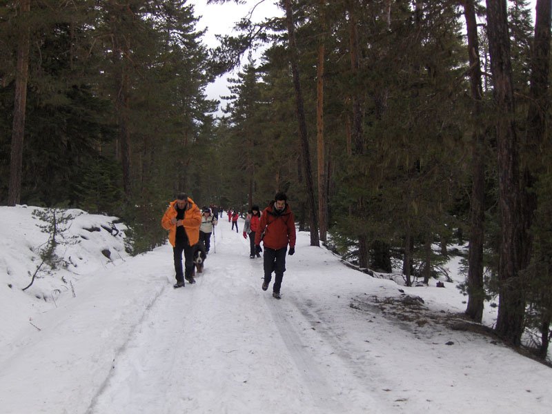 08-02-2011-GÃƒÂƒÃ‚ÂƒÃƒÂ‚Ã‚Â¶lkÃƒÂƒÃ‚ÂƒÃƒÂ‚Ã‚Â¶y-Bolu 046.jpg