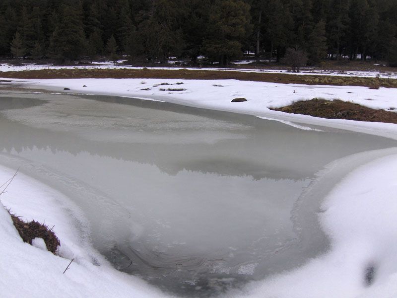 08-02-2011-GÃƒÂƒÃ‚ÂƒÃƒÂ‚Ã‚Â¶lkÃƒÂƒÃ‚ÂƒÃƒÂ‚Ã‚Â¶y-Bolu 055.jpg