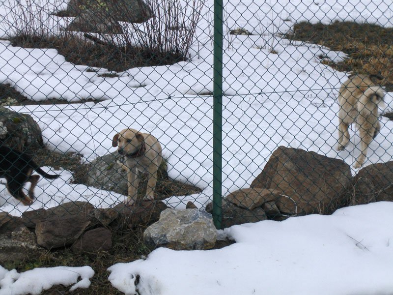 08-02-2011-GÃƒÂƒÃ‚ÂƒÃƒÂ‚Ã‚Â¶lkÃƒÂƒÃ‚ÂƒÃƒÂ‚Ã‚Â¶y-Bolu 060.jpg