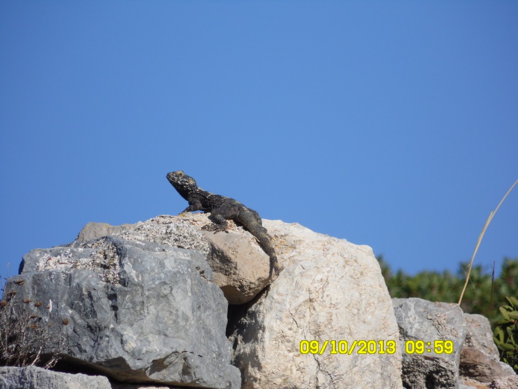 09 10 09 59 Knidos Artiz