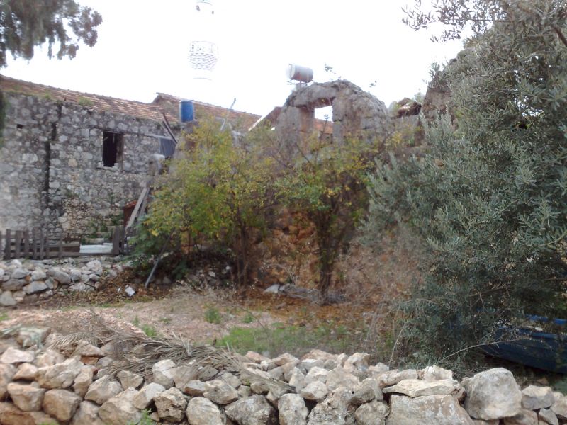090120103981.jpg