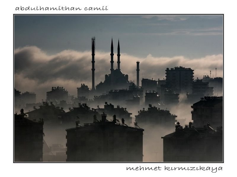 1 (119).jpg   aj.jpg