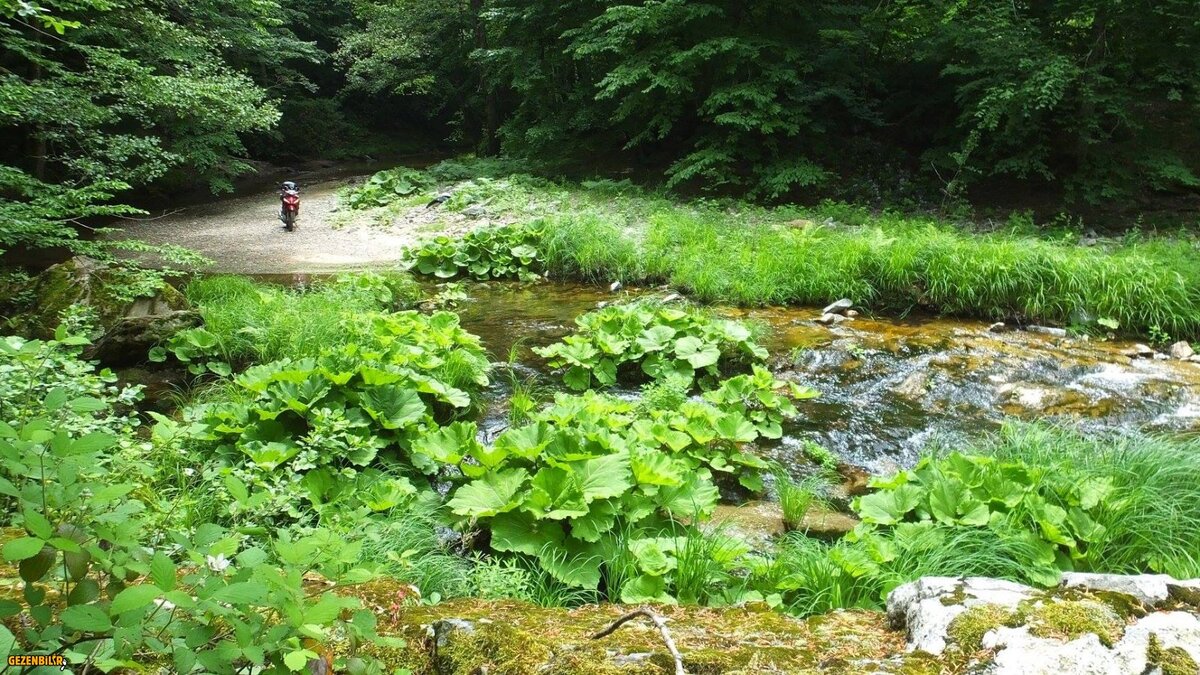 1 (30).jpg 1 (30).jpg