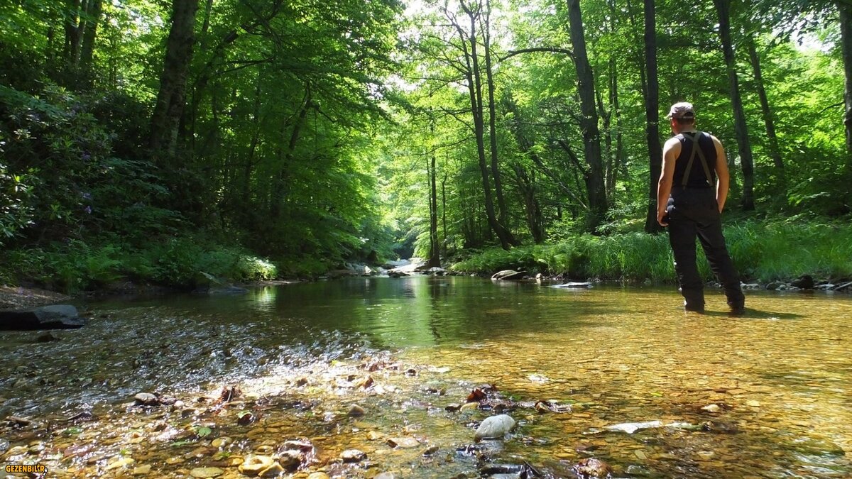 1 (32).jpg 1 (32).jpg