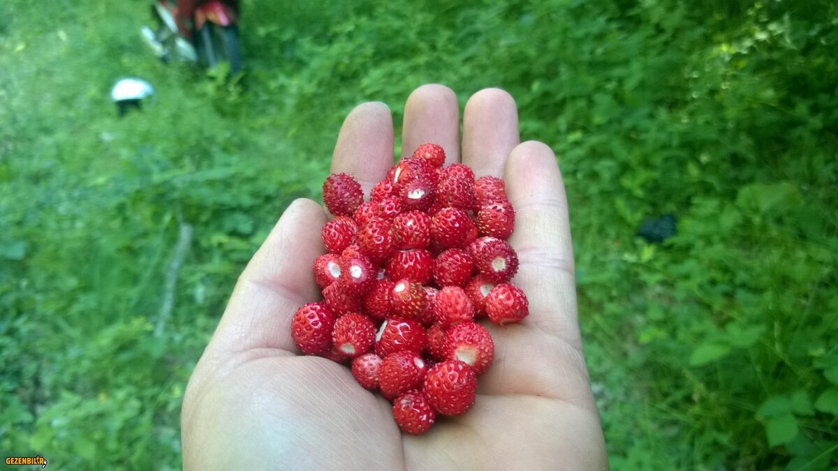 1 (34).jpg 1 (34).jpg