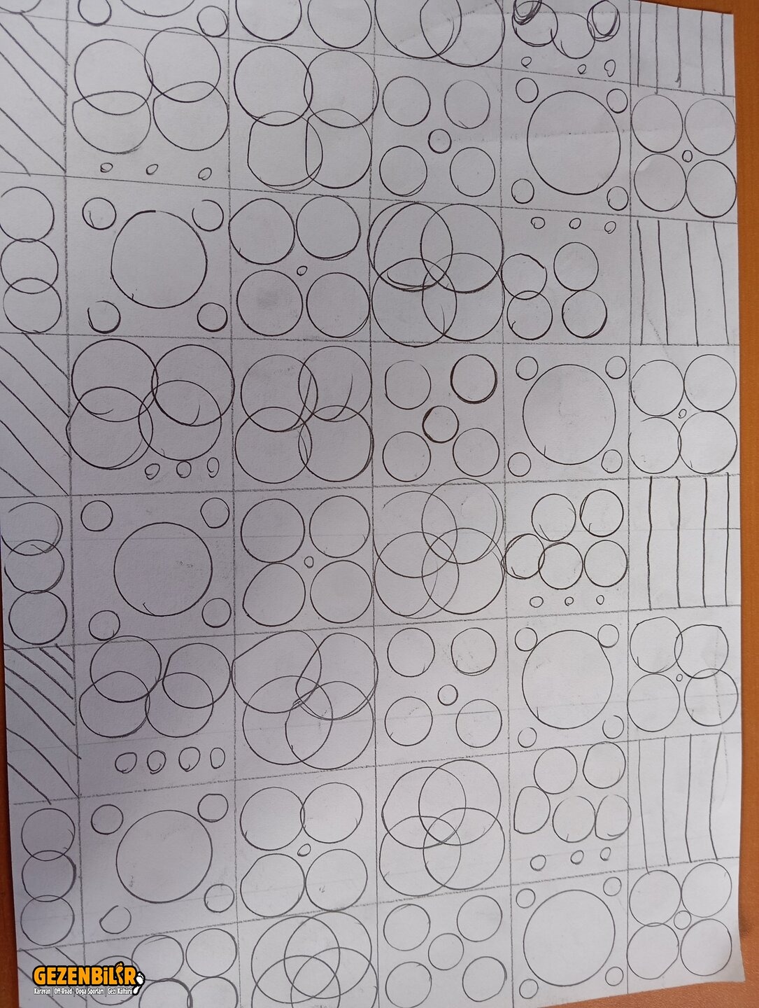 1000027879.jpg