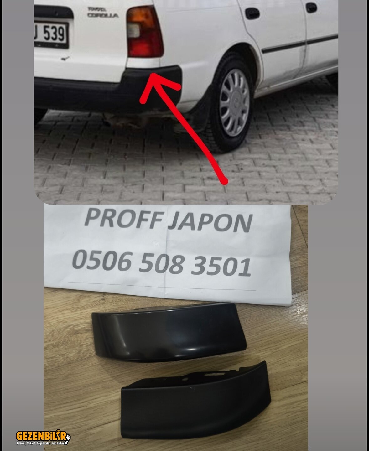 1000077696.jpg