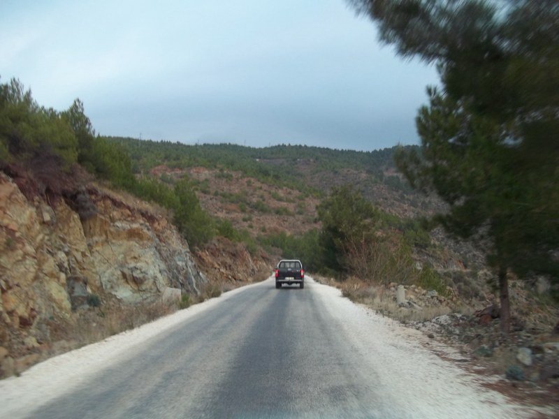 100_0088 [800x600].jpg