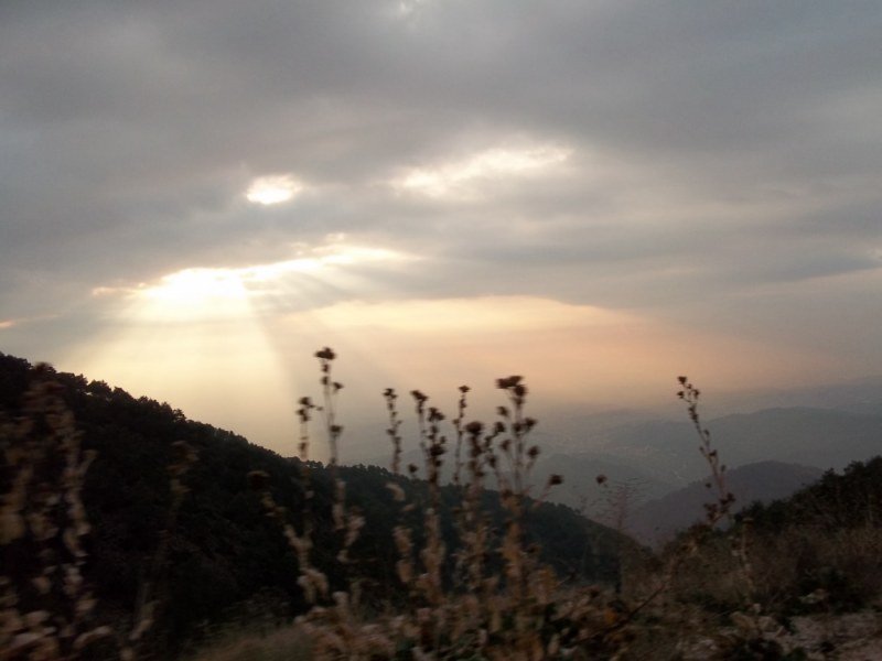 100_0090 [800x600].jpg