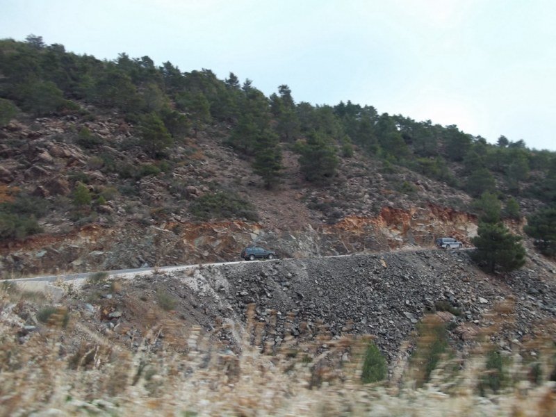 100_0091 [800x600].jpg