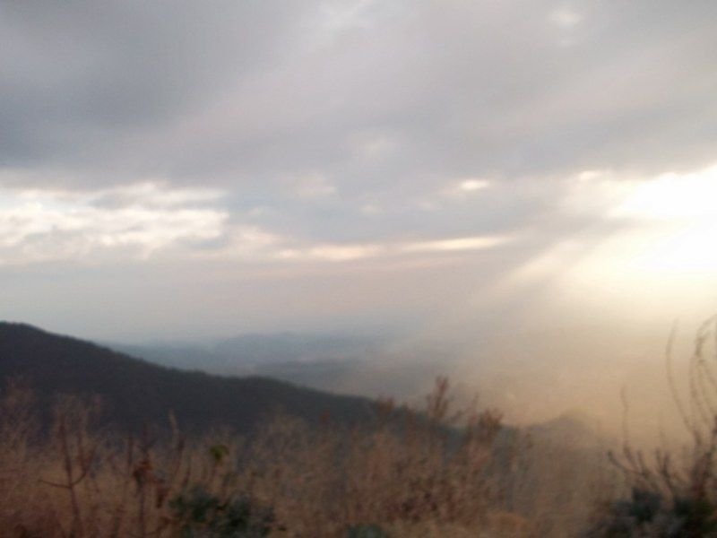 100_0093 [800x600].jpg