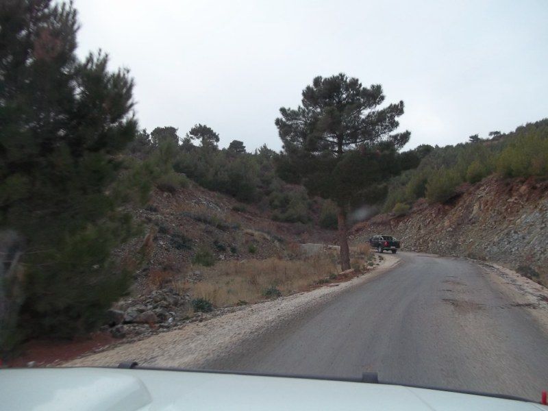 100_0095 [800x600].jpg