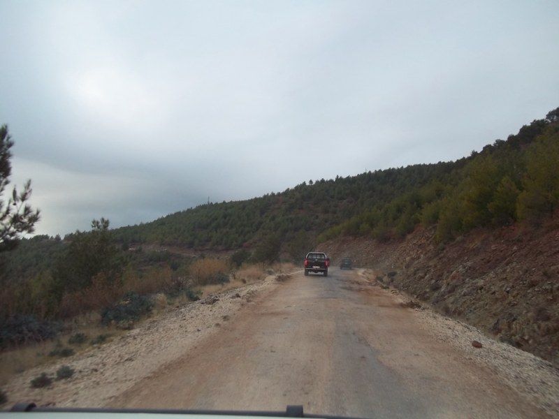 100_0096 [800x600].jpg