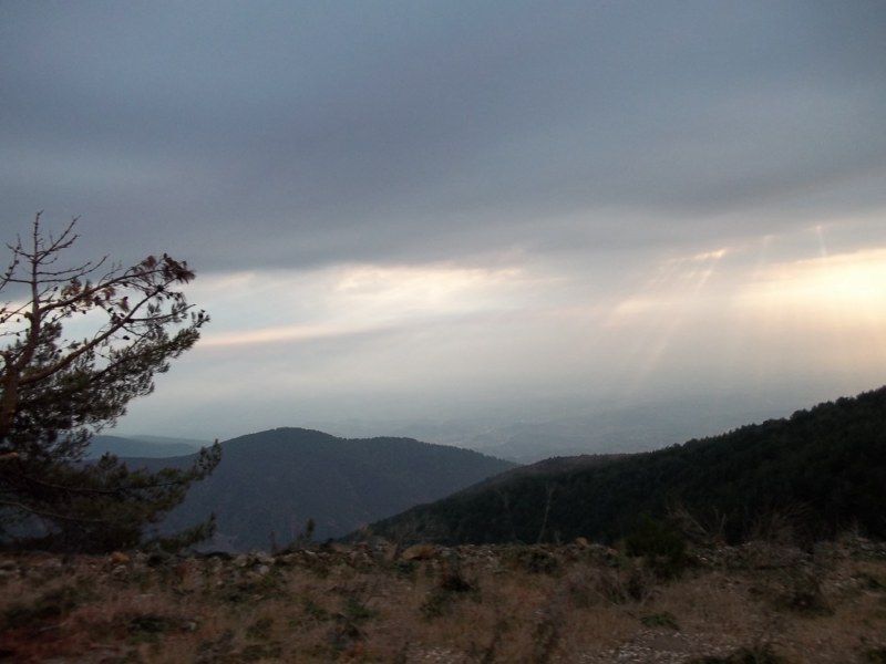 100_0097 [800x600].jpg