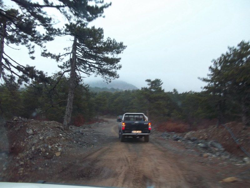 100_0102 [800x600].jpg