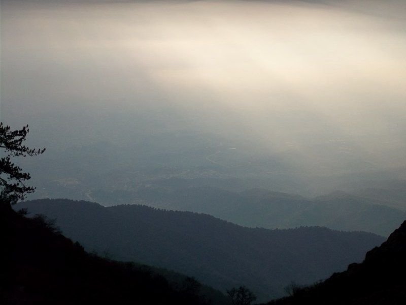 100_0114 [800x600].jpg