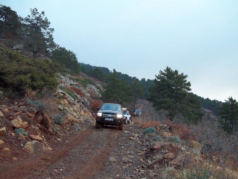 100_0119 [800x600].jpg