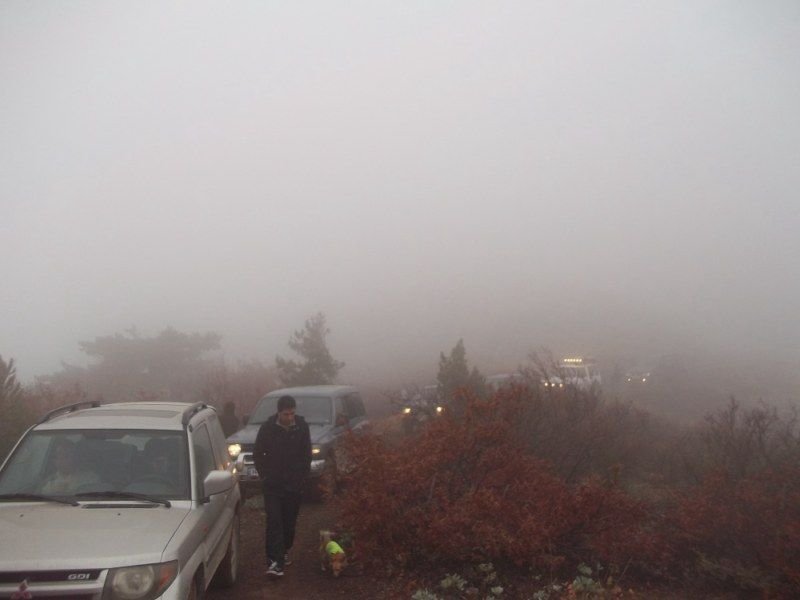 100_0126 [800x600].jpg