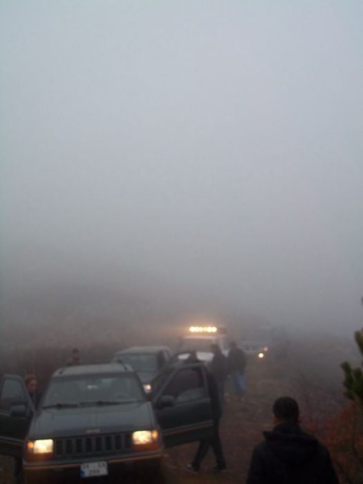 100_0131 [800x600].jpg